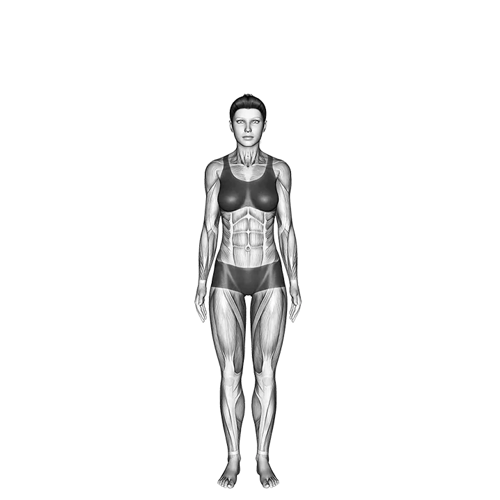 Tree Pose Vrksasana exercise animation (Female)