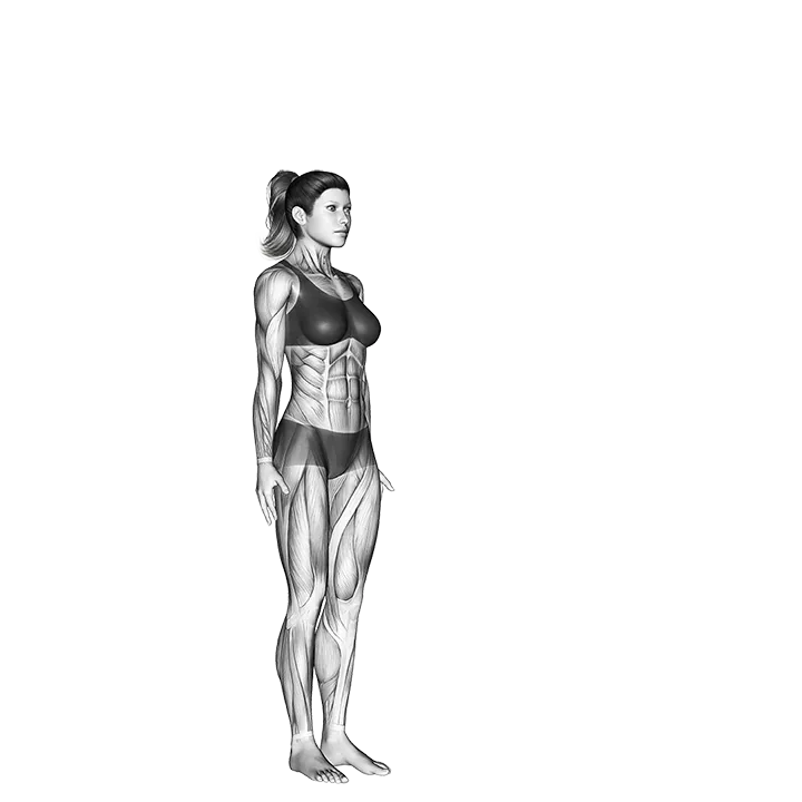 Warrior Pose II Virabhadrasana II exercise animation (Female)