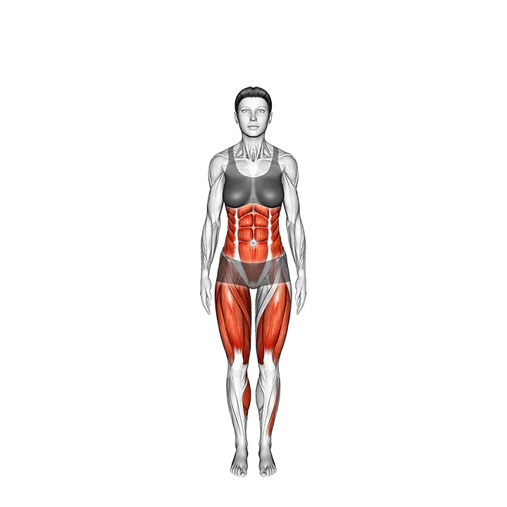 Warrior Pose I Virabhadrasana I exercise animation (Female)