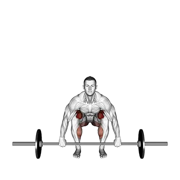 Barbell Deadlift front view