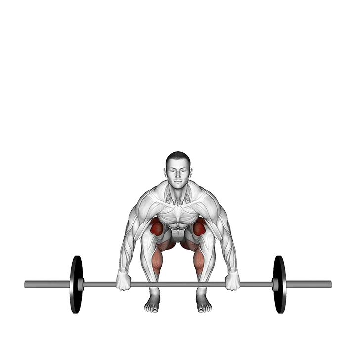 Barbell Deadlift front view exercise animation (Male)