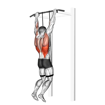 Band assisted pull-up