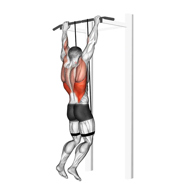 Band assisted pull-up exercise animation (Male)