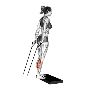 Band calf raise (version 2)
