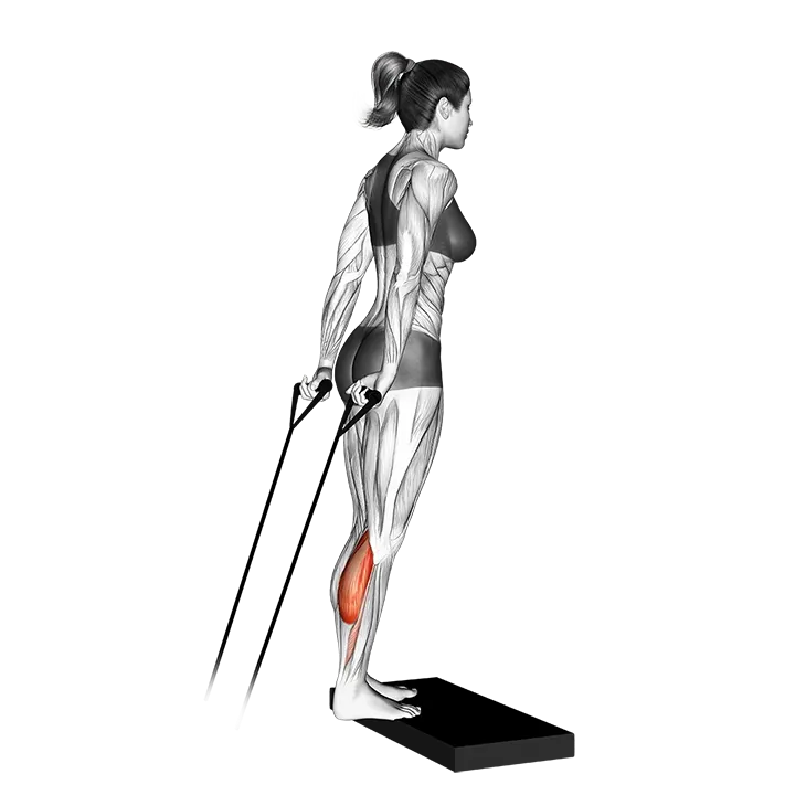 Band calf raise (version 2) exercise animation (Female)