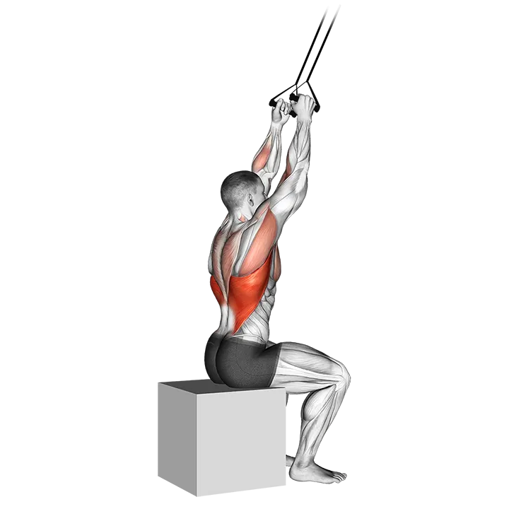 Band close-grip pulldown exercise animation (Male)