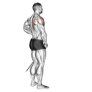 Band front lateral raise