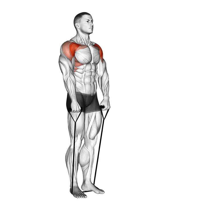 Band front raise exercise animation (Male)