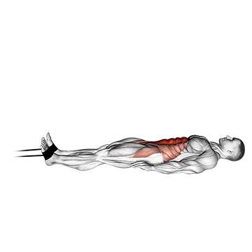 Band jack knife sit-up