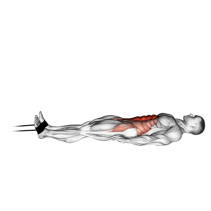 Band jack knife sit-up exercise animation (Männlich)