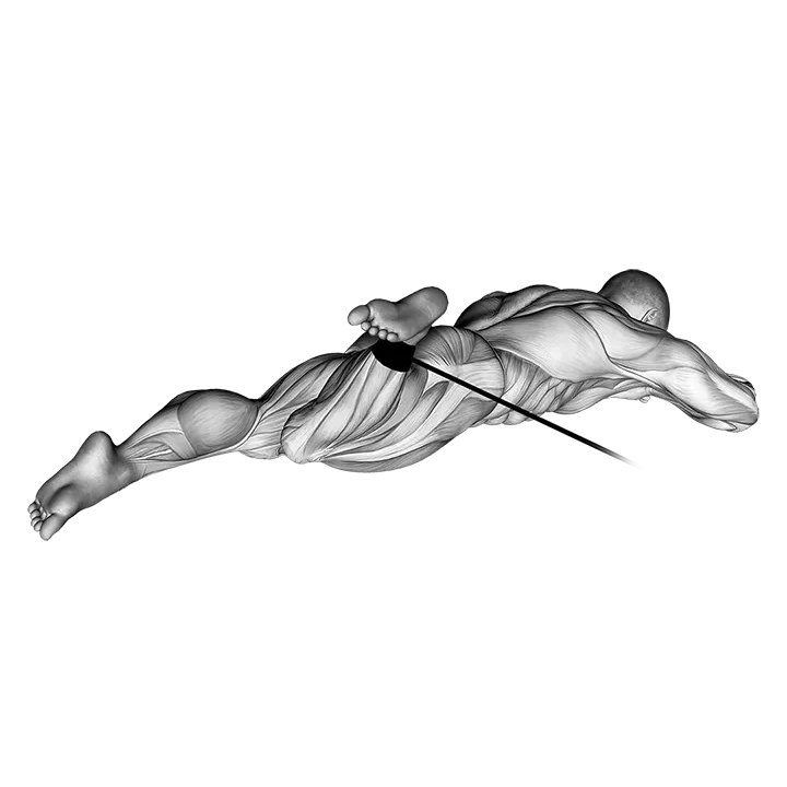 Band Lying Hip External Rotation exercise animation (Male)