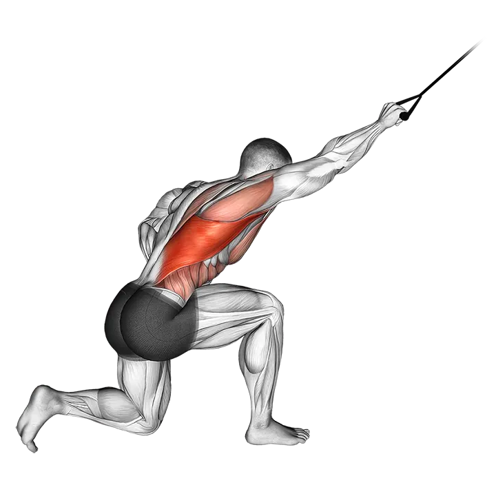 Band kneeling one arm pulldown exercise animation (Hombre)