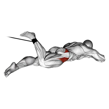 Band Lying Hip Internal Rotation