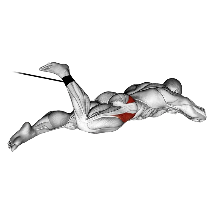 Band Lying Hip Internal Rotation exercise animation (Männlich)