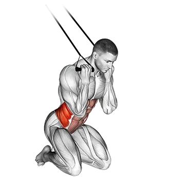 Band Kneeling Twisting Crunch