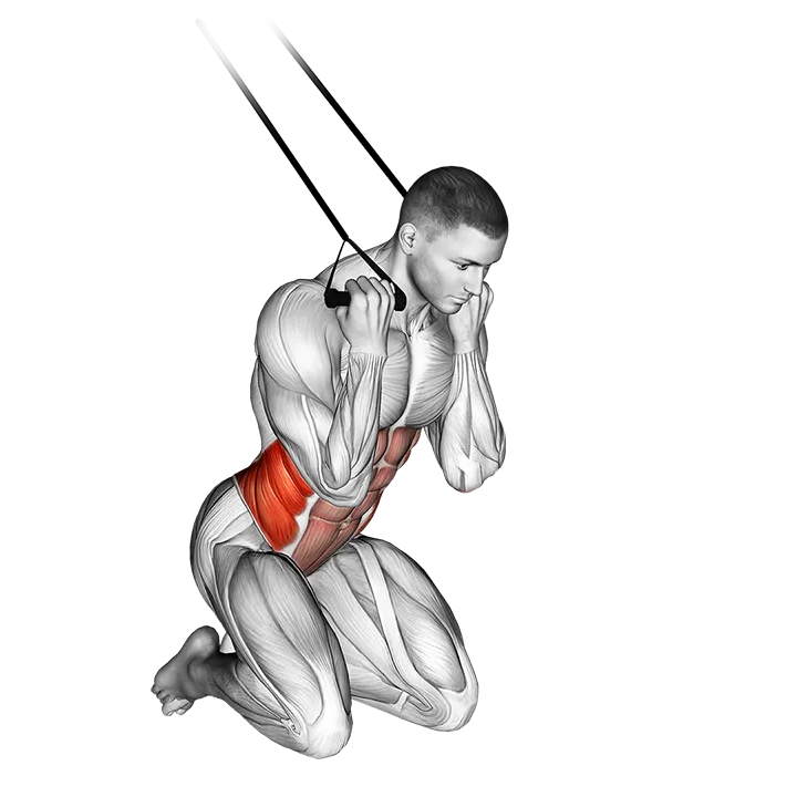Band Kneeling Twisting Crunch exercise animation (Male)