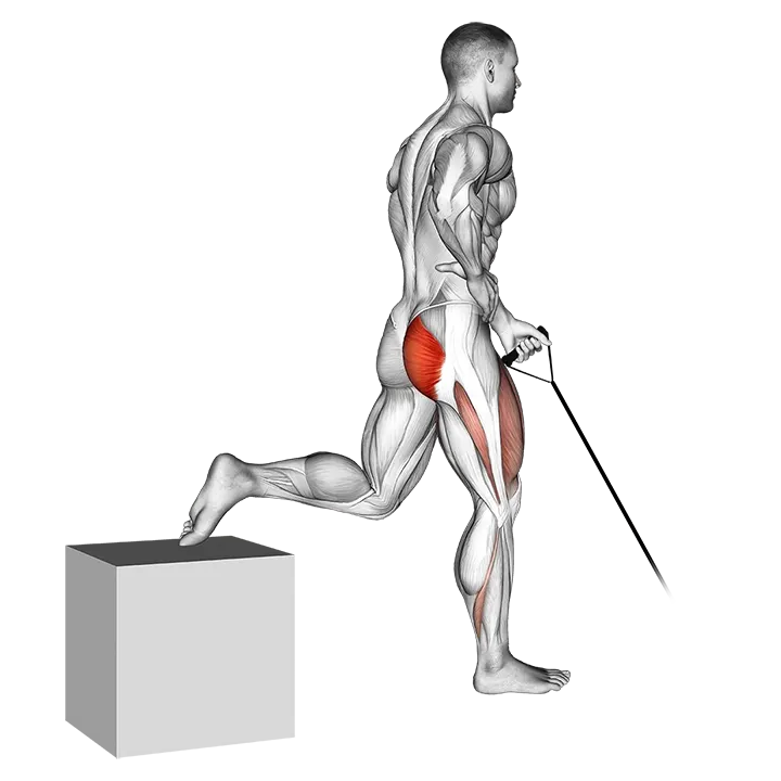 Band One Arm Single Leg Split Squat exercise animation (Male)