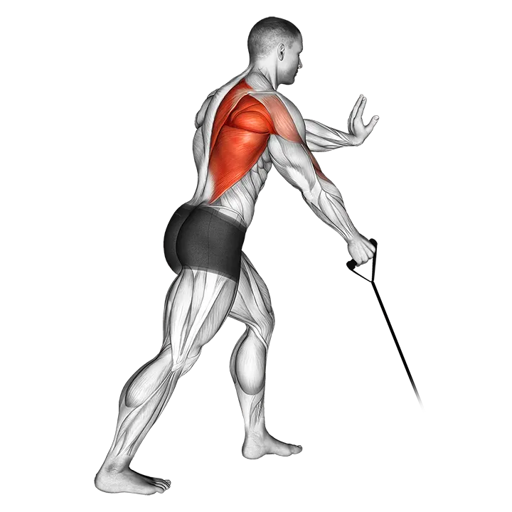 Band one arm Standing Low Row exercise animation (Male)