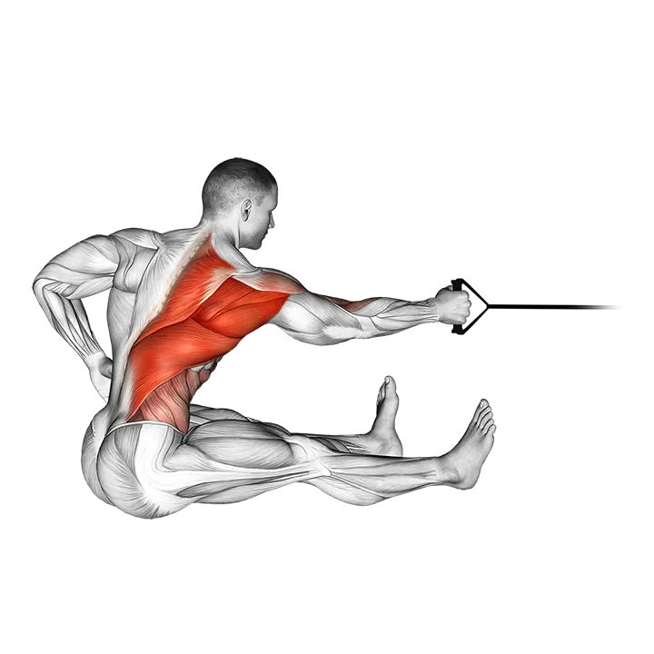 Band One Arm Twisting Seated Row exercise animation (Male)