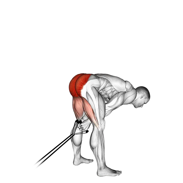 Band pull through exercise animation (Male)