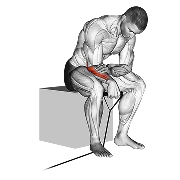 Band reverse wrist curl