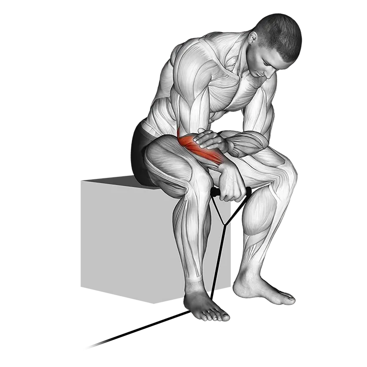 Band reverse wrist curl exercise animation (Male)