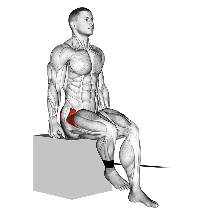 Band Seated Hip Internal Rotation exercise animation (Male)