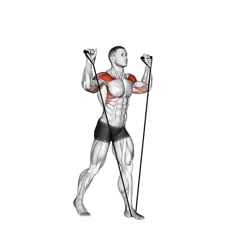 Band shoulder press exercise animation (Male)
