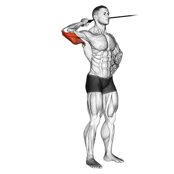 Band side triceps extension