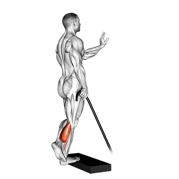 Band single leg calf raise
