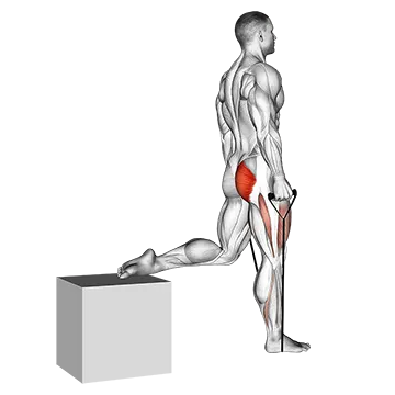 Band single leg split squat