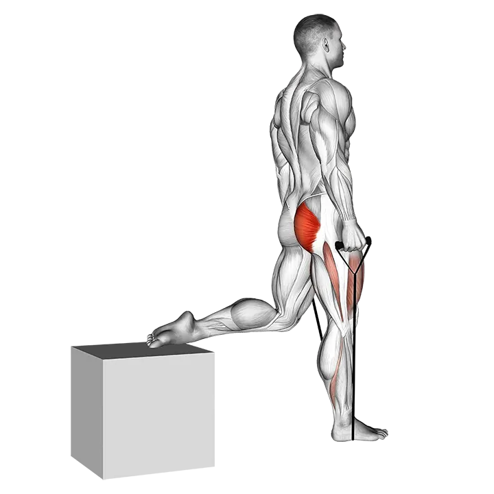 Band single leg split squat exercise animation (Male)