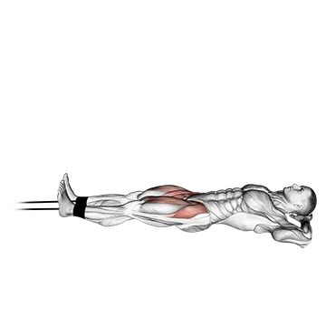 Band Lying Straight Leg Raise