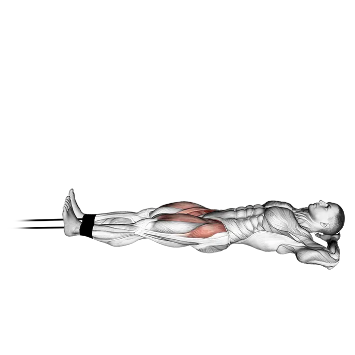 Band Lying Straight Leg Raise exercise animation (Hombre)