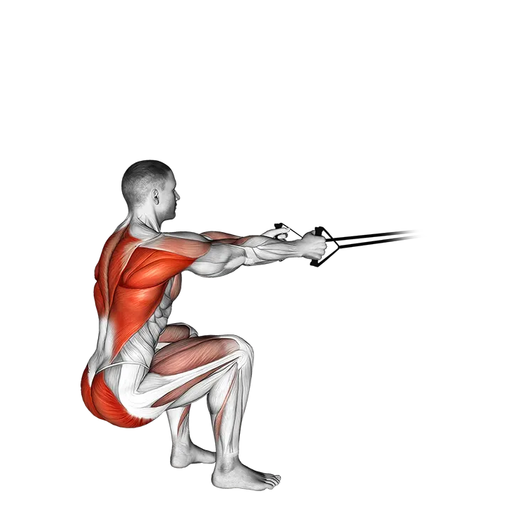 Band squat row exercise animation (Male)