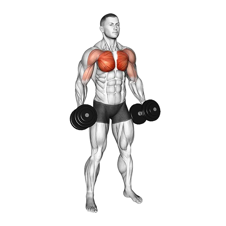 Dumbbell Standing Alternating Cross Raise exercise animation (Male)