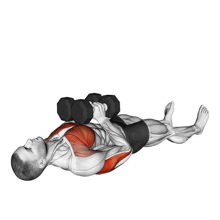 Dumbbell Lying Floor Squeeze Press exercise animation (Male)