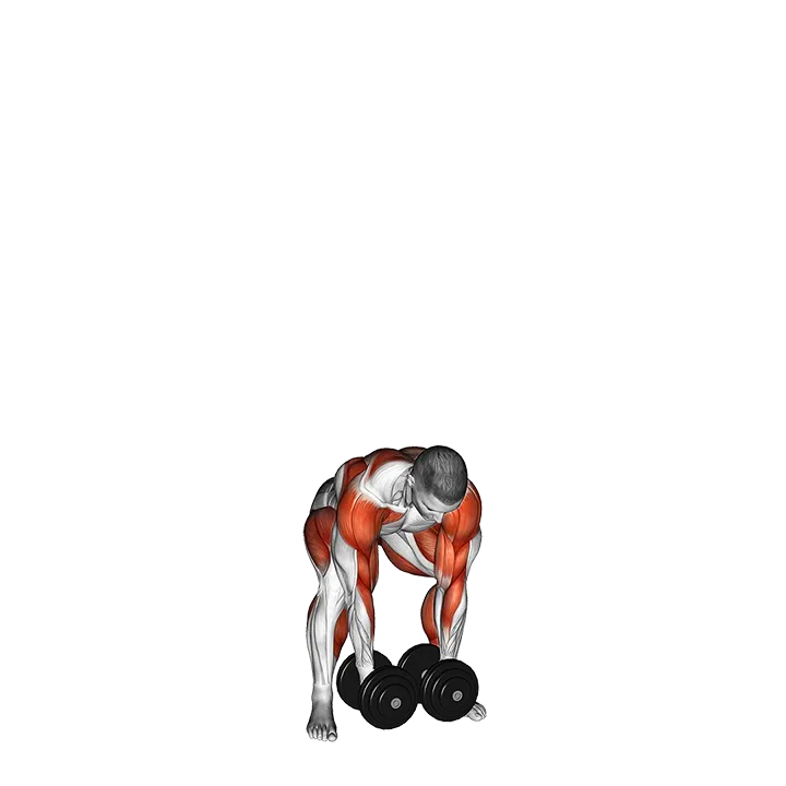 Dumbbell Hang Snatch exercise animation (Male)