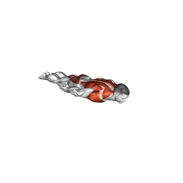 Snow Angel Face to Floor exercise animation (Male)