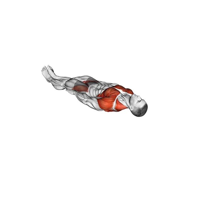Snow Angel Face to Sky exercise animation (Male)