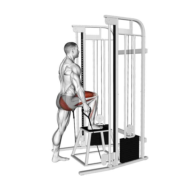 Cable Step-up exercise animation (Male)