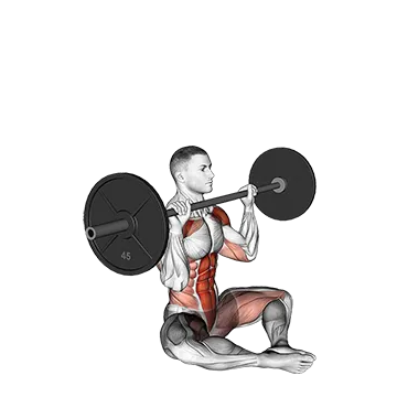 Barbell Butterfly Z Press