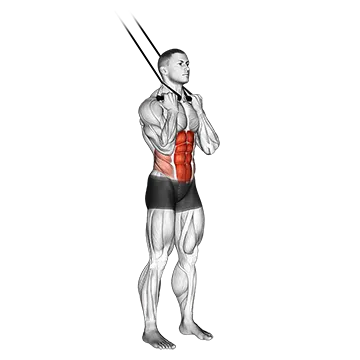 Band standing crunch