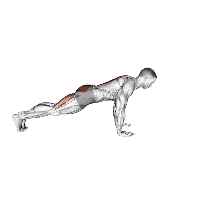 Superman to Push-up exercise animation (Male)