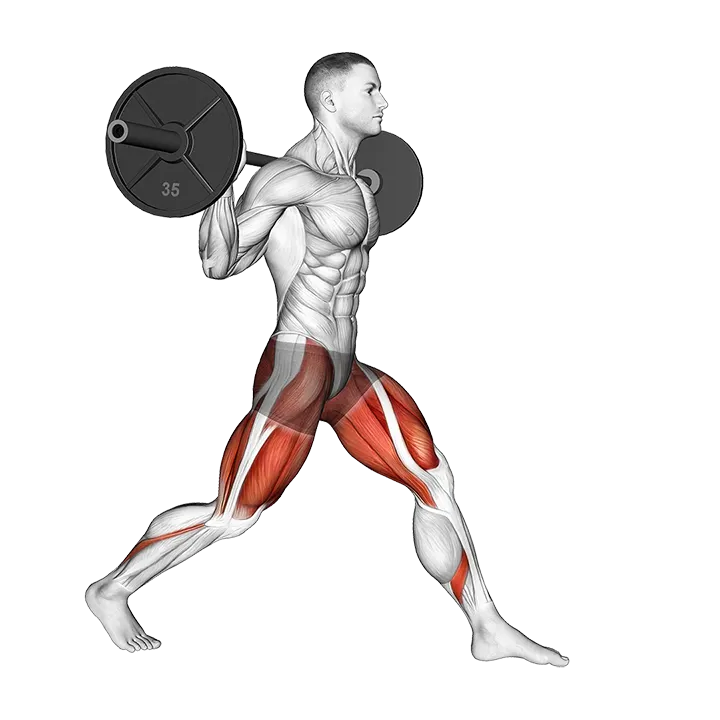 Barbell Static Lunge exercise animation (Male)