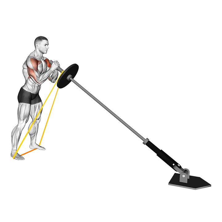 Landmine Banded Press exercise animation (Male)