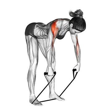 Band rear delt row