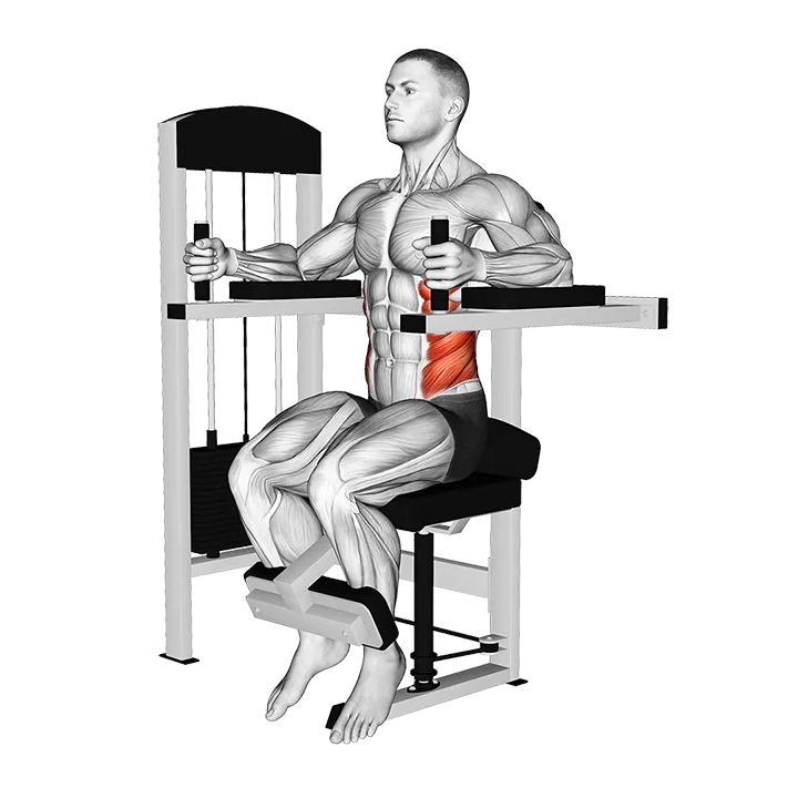 Lever Torso Rotation exercise animation (Male)