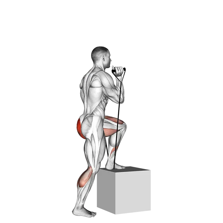 Band step-up exercise animation (Male)