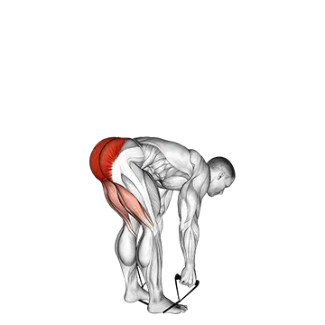 Band stiff leg deadlift